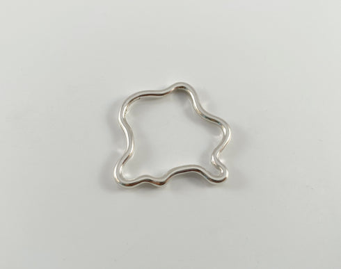 The Noncomformist small