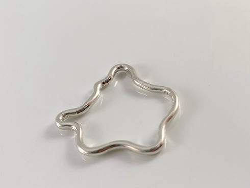 The Noncomformist small